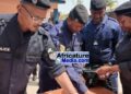 Trafic de drogue à Conakry : 338 boules de Kush saisies à Boulbinet, deux suspects interpellés