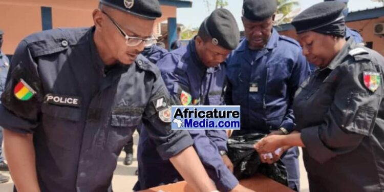 Trafic de drogue à Conakry : 338 boules de Kush saisies à Boulbinet, deux suspects interpellés