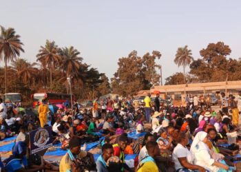 Pèlerinage national de Boffa 2026 : les fidèles atteignent le sanctuaire au terme d’un long parcours