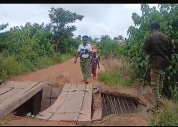 Guéckédou: La Sous-préfecture de Témessadou-Djigbo menacée d’isolement par un pont en ruine