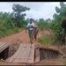 Guéckédou: La Sous-préfecture de Témessadou-Djigbo menacée d’isolement par un pont en ruine