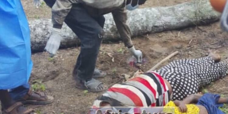 Yomou : Bowé en larmes; une mère et son fils tués par la chute d’un palmier