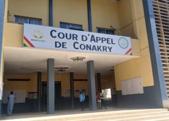 Fraude aux examens : la Cour d’appel libère les élèves de Kindia après 20 jours de détention