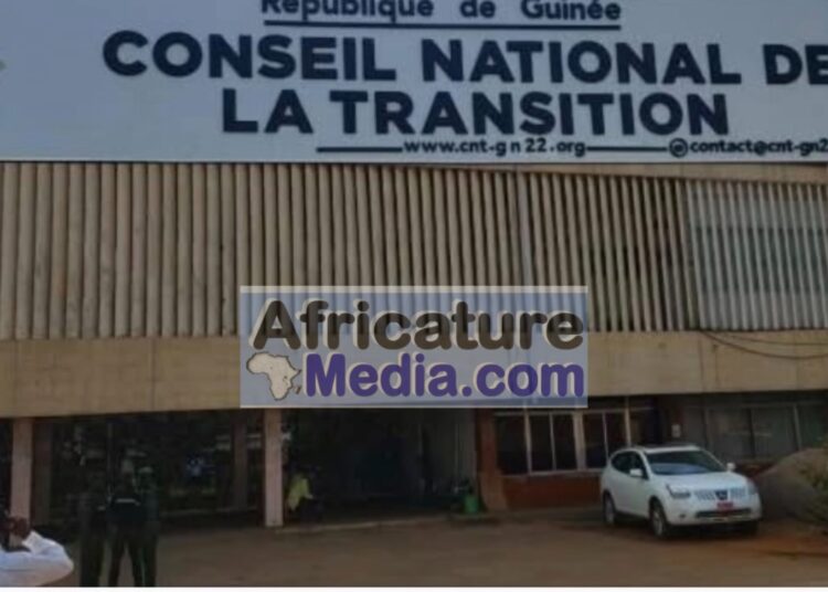 Exploitation minière clandestine à Siguiri : la CRIEF serre la vis, plusieurs hauts cadres et trois ressortissants chinois interdits de quitter la Guinée
