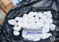 Lutte contre la drogue à Sonfonia : la police interpelle 52 suspects et démantèle plusieurs fumoirs