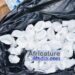 Lutte contre la drogue à Sonfonia : la police interpelle 52 suspects et démantèle plusieurs fumoirs
