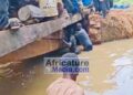 N’Zérékoré : l’effondrement du pont de Tohonyala menace d’isoler la sous-préfecture de Palé