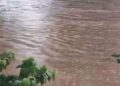 Fortes pluies à Conakry : plusieurs quartiers confrontés aux inondations