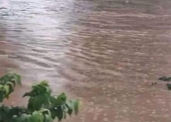 Fortes pluies à Conakry : plusieurs quartiers confrontés aux inondations