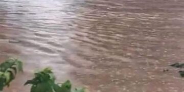 Fortes pluies à Conakry : plusieurs quartiers confrontés aux inondations