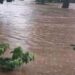 Fortes pluies à Conakry : plusieurs quartiers confrontés aux inondations