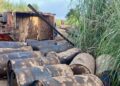 Guéckédou : Un camion chargé de 56 fûts d’huile rouge immobilisé après un renversement sur l’axe de Nongoa